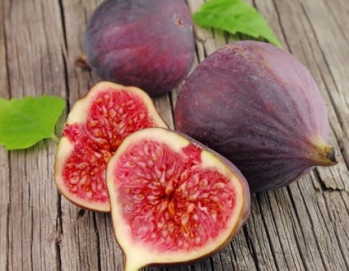 Figovník mrazuodolný ´Francuesco´