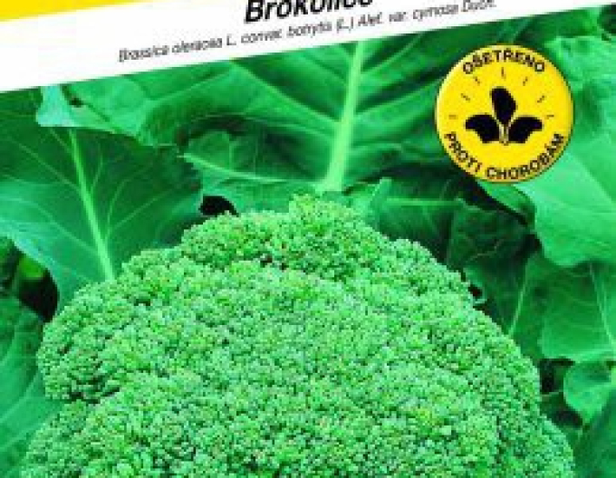 Semo Brokolica ´Calabresse´