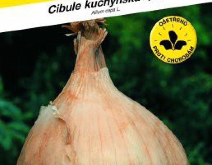 Semo Cibuľa kuchynská jarná  ´Globo´