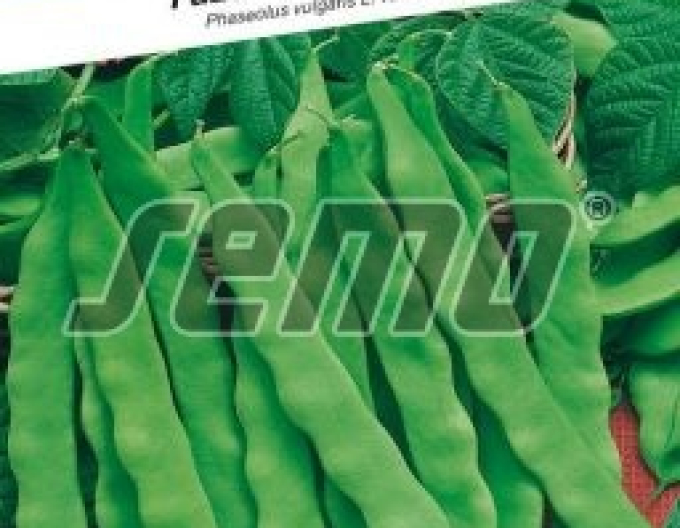 Semo Fazuľa záhradná tyčová ´Supermarconi Limca´