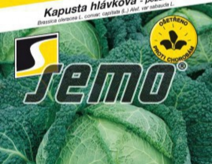 Semo Kel hlavkový ´Vertus 2´