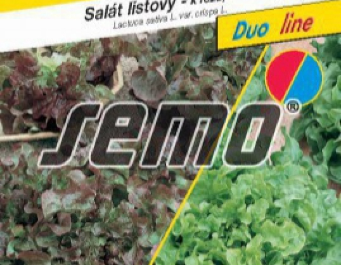 Semo Šalát  listový ´Zmes typu Bowl´