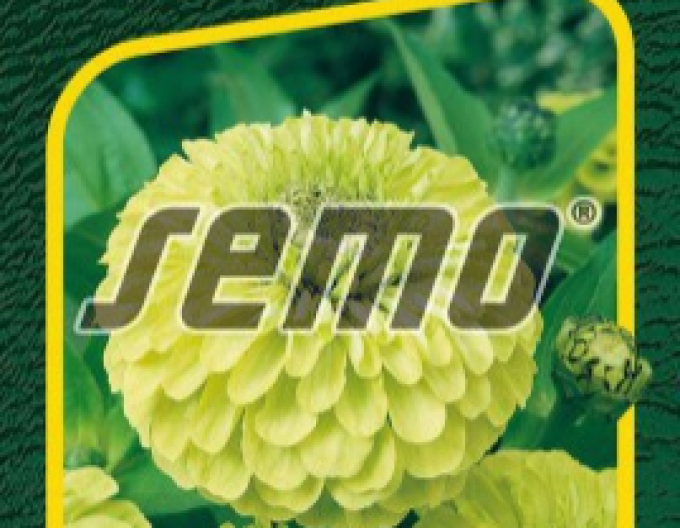 Semo Cínia ´Envy´