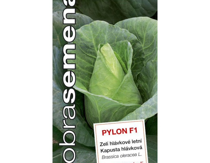 Dobrá semena Kapusta hlávková ´Pylon F1´
