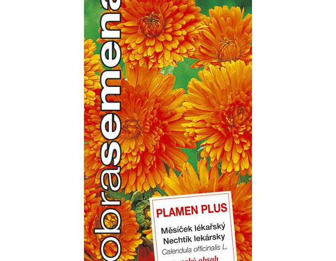 Dobrá semena Nechtík lekársky ´Plamen Plus´