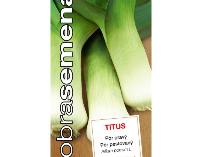Dobrá semena Pór pestovaný ´Titus´