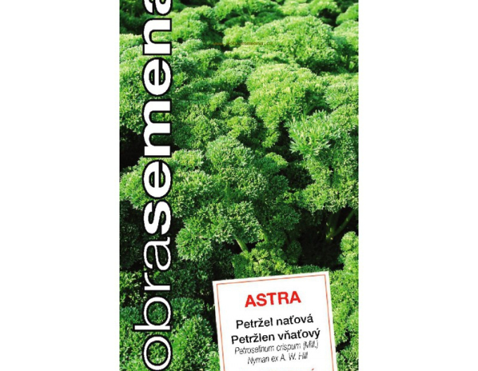 Dobrá semena Petržlen záhradný vňaťový ´Astra´