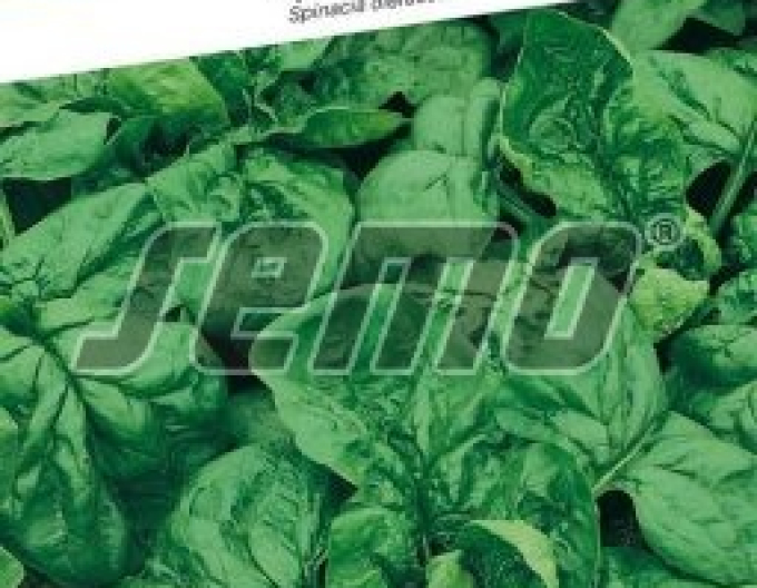 Semo Špenát siaty ´Matador´