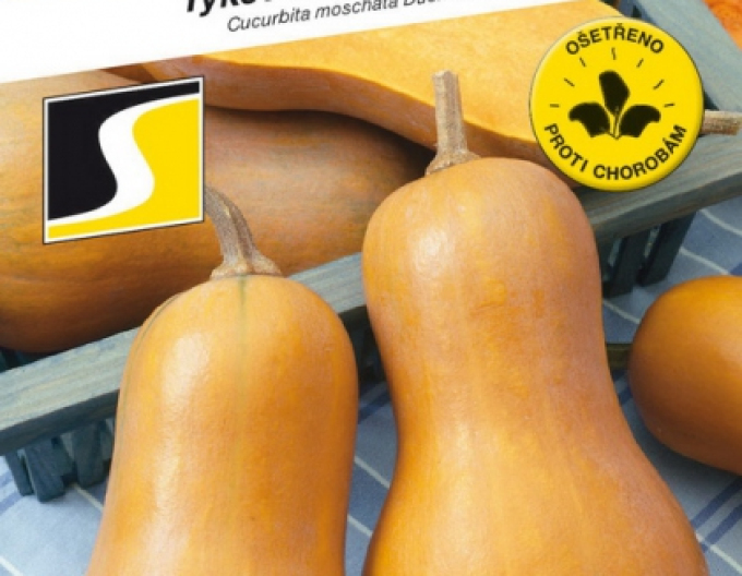 Semo Tekvica muškátová ´Laura´