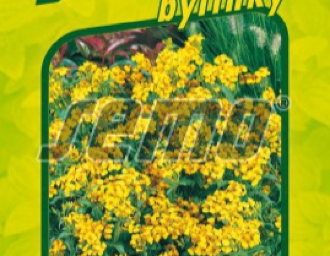 Semo Aksamietnica mexická