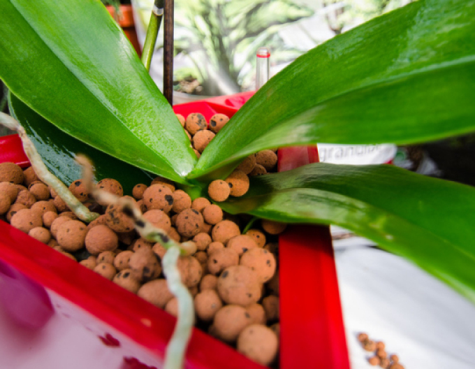 Keramzit 8 - 16mm 50l