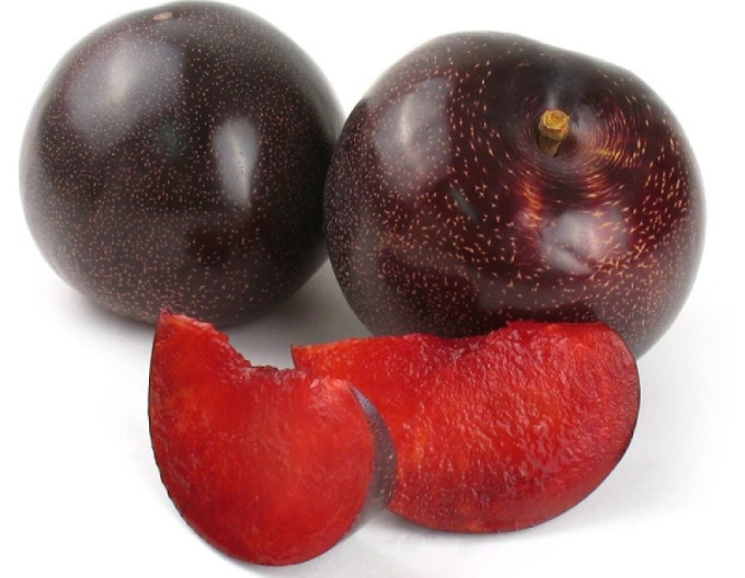 Marhuľo-slivka ´Columnare´, podp. Myrobalán, kont. 5l