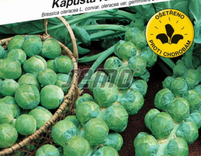 Semo Kel ružičkový ´Groninger´