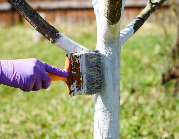 Biovita Vápno na bielenie stromov a kríkov vedierko 1kg