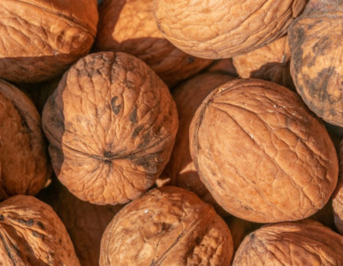 Orech ´Fernor´, kont. 5l