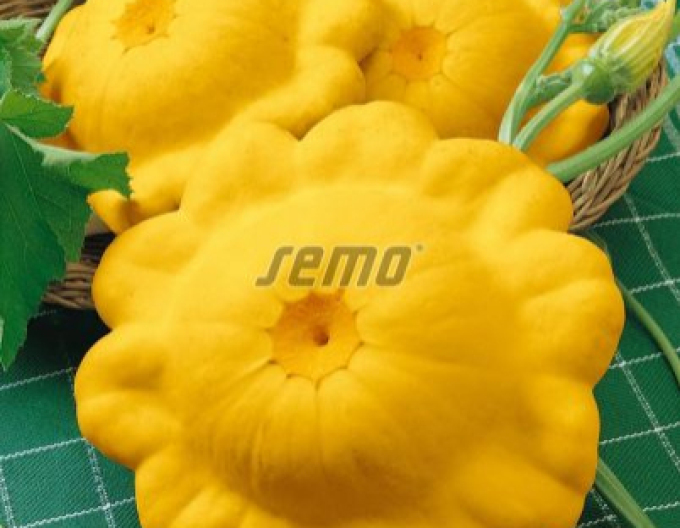 Semo Patizon ´Sunseance F1´