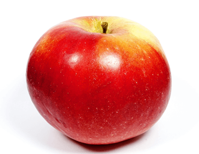 Jabloň "Idared" zimná, podp. MM106, kont. 5l