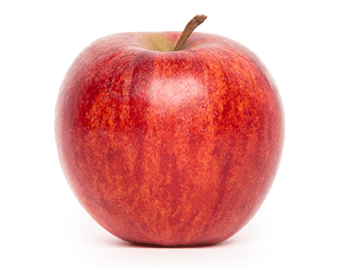 Jabloň ´Gala Mitchgla´ jesenná, podp. M9, voľnok.