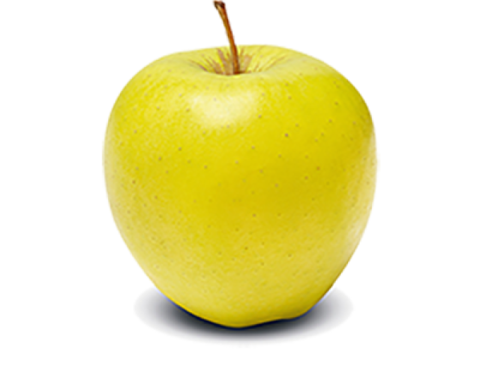 Jabloň ´Golden Delicious´ zimná, podp. M9, kont. 5l