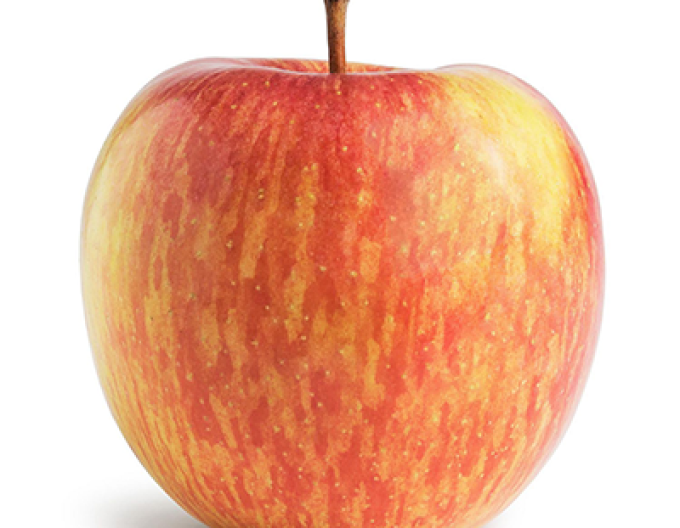 Jabloň Fuji zimná, podpn. MM106, voľnok.