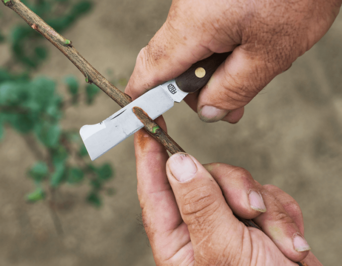 FELCO 512  Vrúbľovací nôž