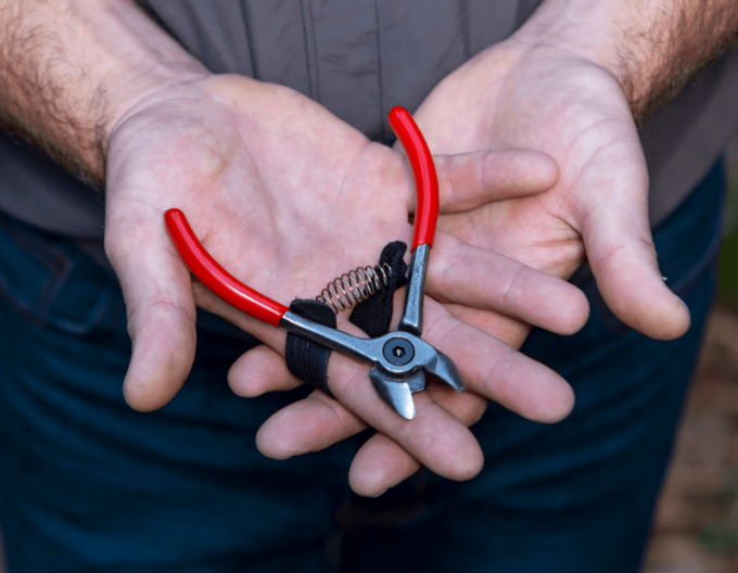 FELCO 330  Nožnice na ovocie