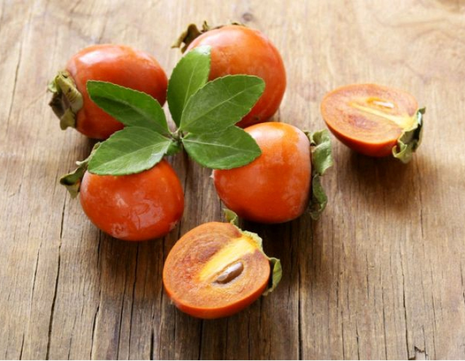 Hurmikaki ´CIOCCOLATINO´ na kmienku 9l