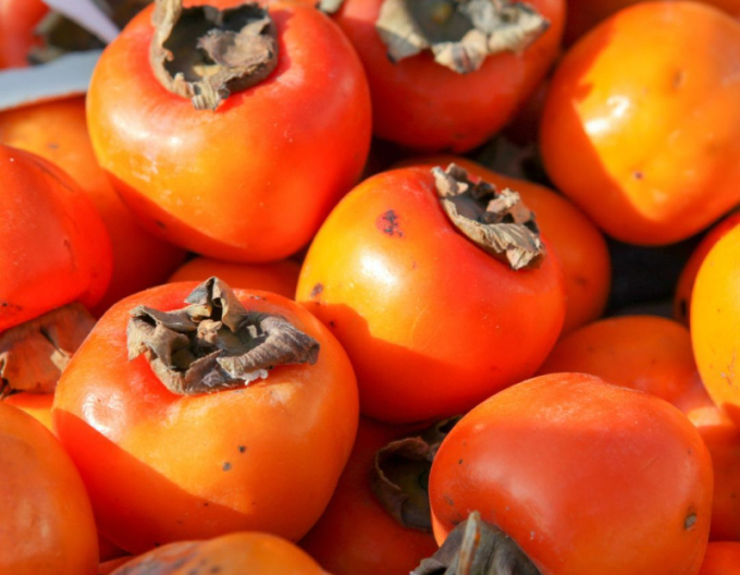 Hurmikaki ´Vaniglia´ na kmienku