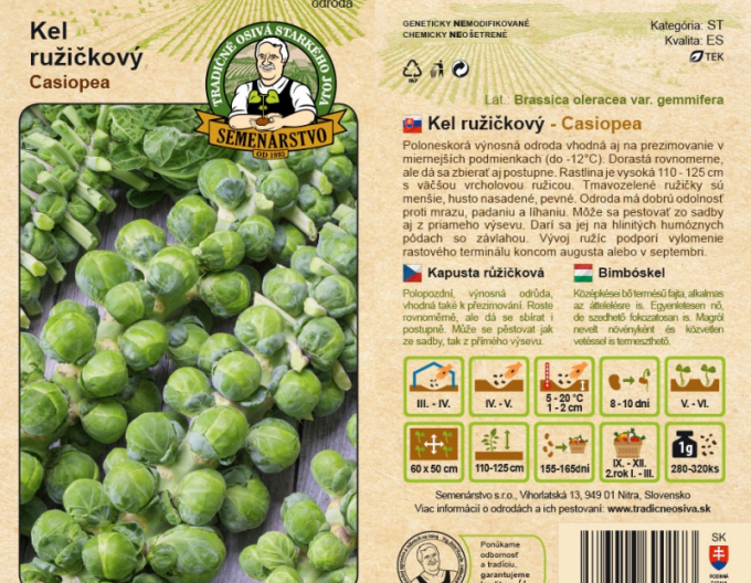 Semenárstvo Kel ružičkový ´Casiopea´