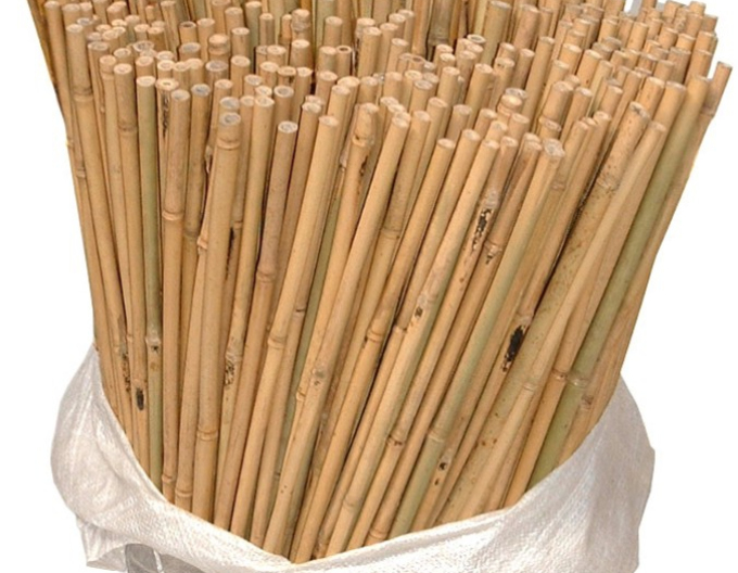 Bambusová tyč 75cm