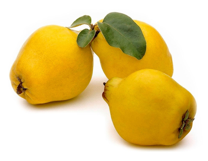 Dula hrušková "Vranja", podp. Dula, voľnok.