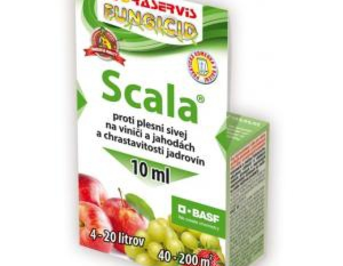 SCALA 10ml