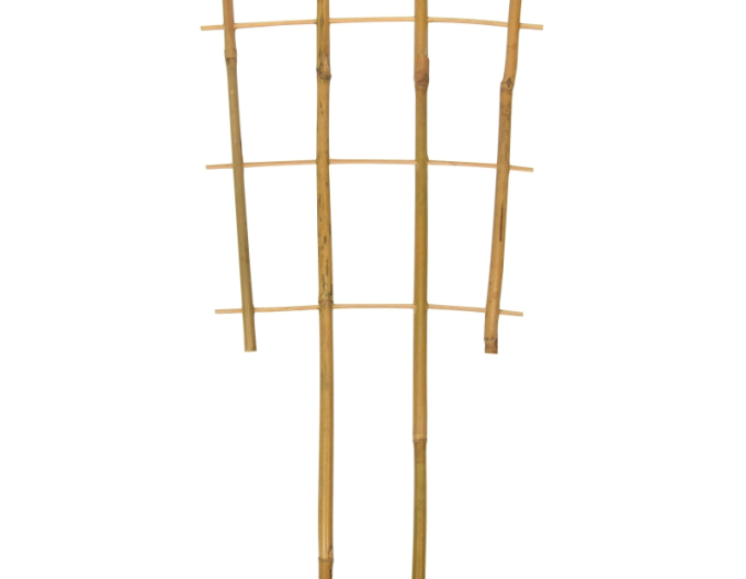 Bambusová opora štvoritá PB4 30cm